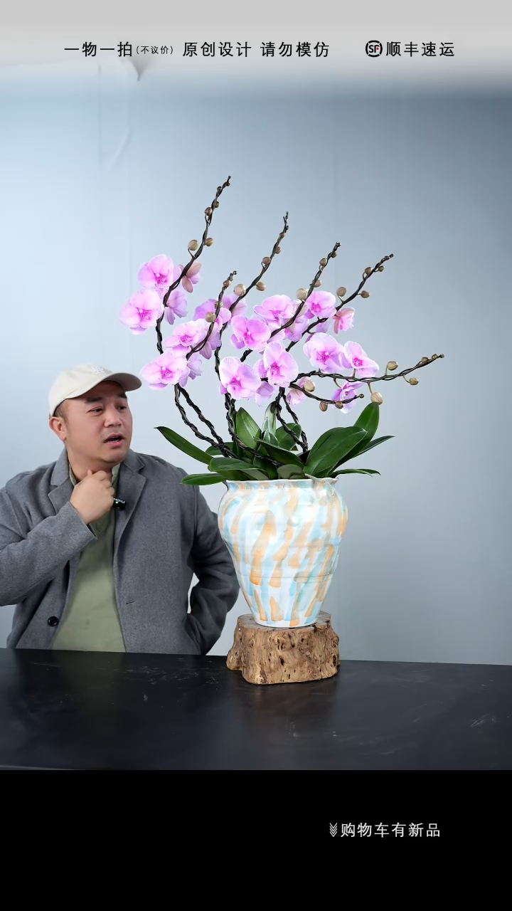 【闪购商品】061号链接【一物一拍】艺术盆景