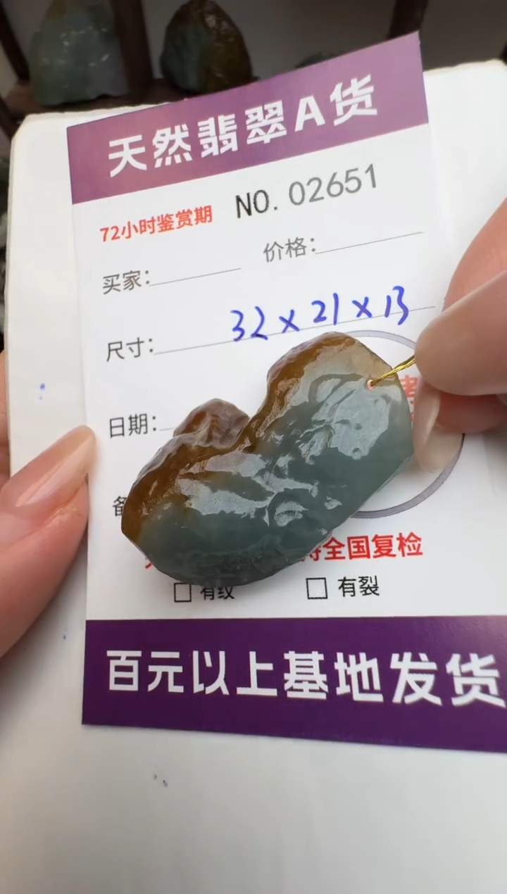 【闪购商品】翡翠颈饰未镶嵌原石2651