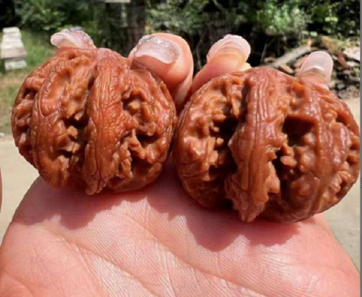 玉玺八棱文玩核桃把件