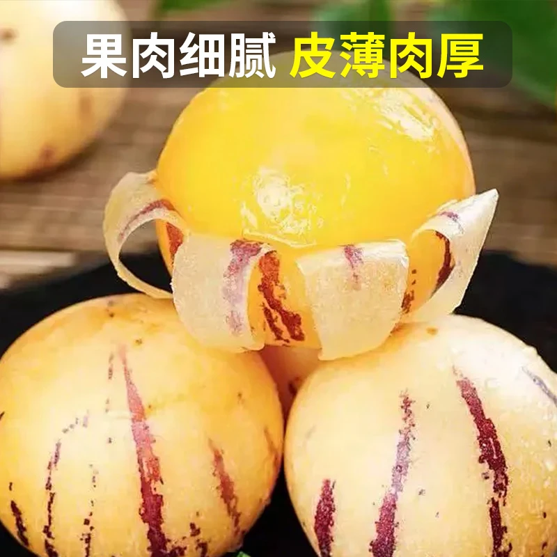 A【现摘现发】正宗云南黄肉人参果当季新鲜水果消暑清甜多汁圆大