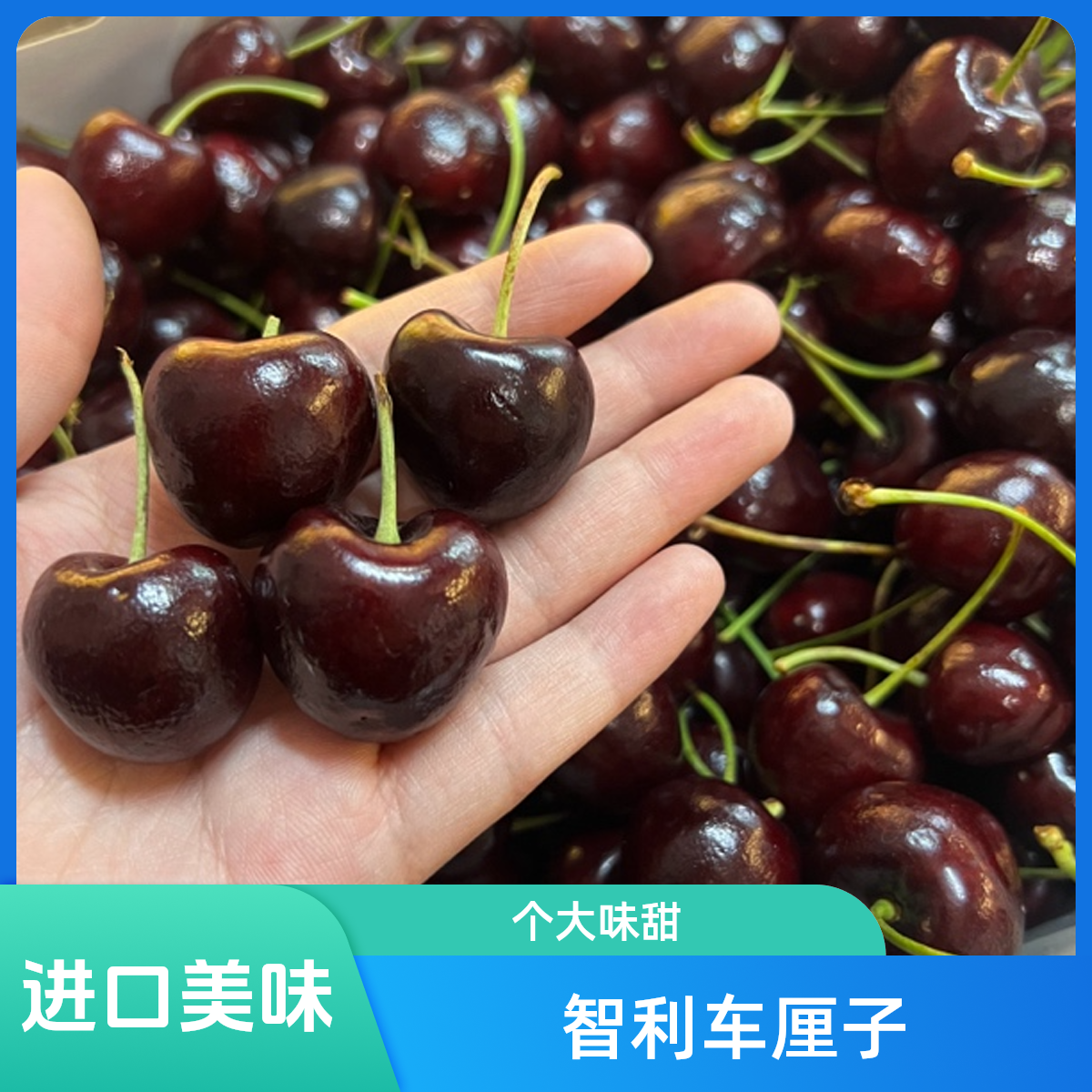 智利进口车厘子桑提娜2J（内附规格卡）2.5kg