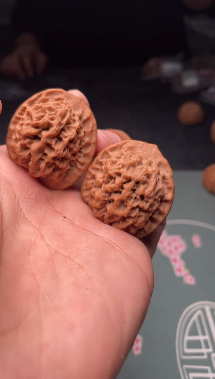 核桃a17  秦闷 34尺