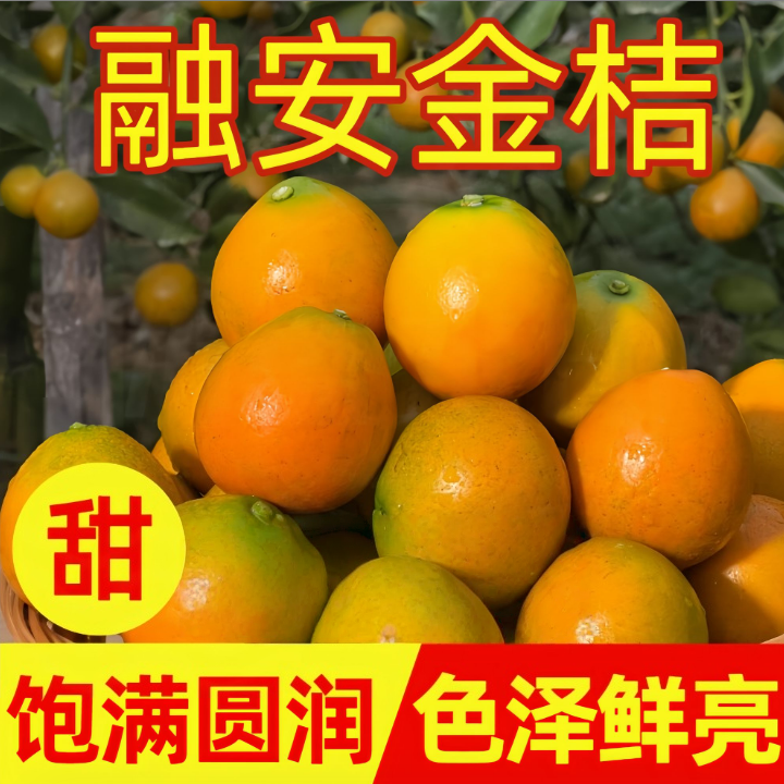 【荣哥专属】正宗广西融安核心产区脆蜜金柑纯甜无酸冰糖心现摘新鲜