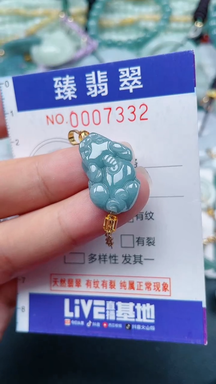 颈饰未镶嵌翡翠.0007332