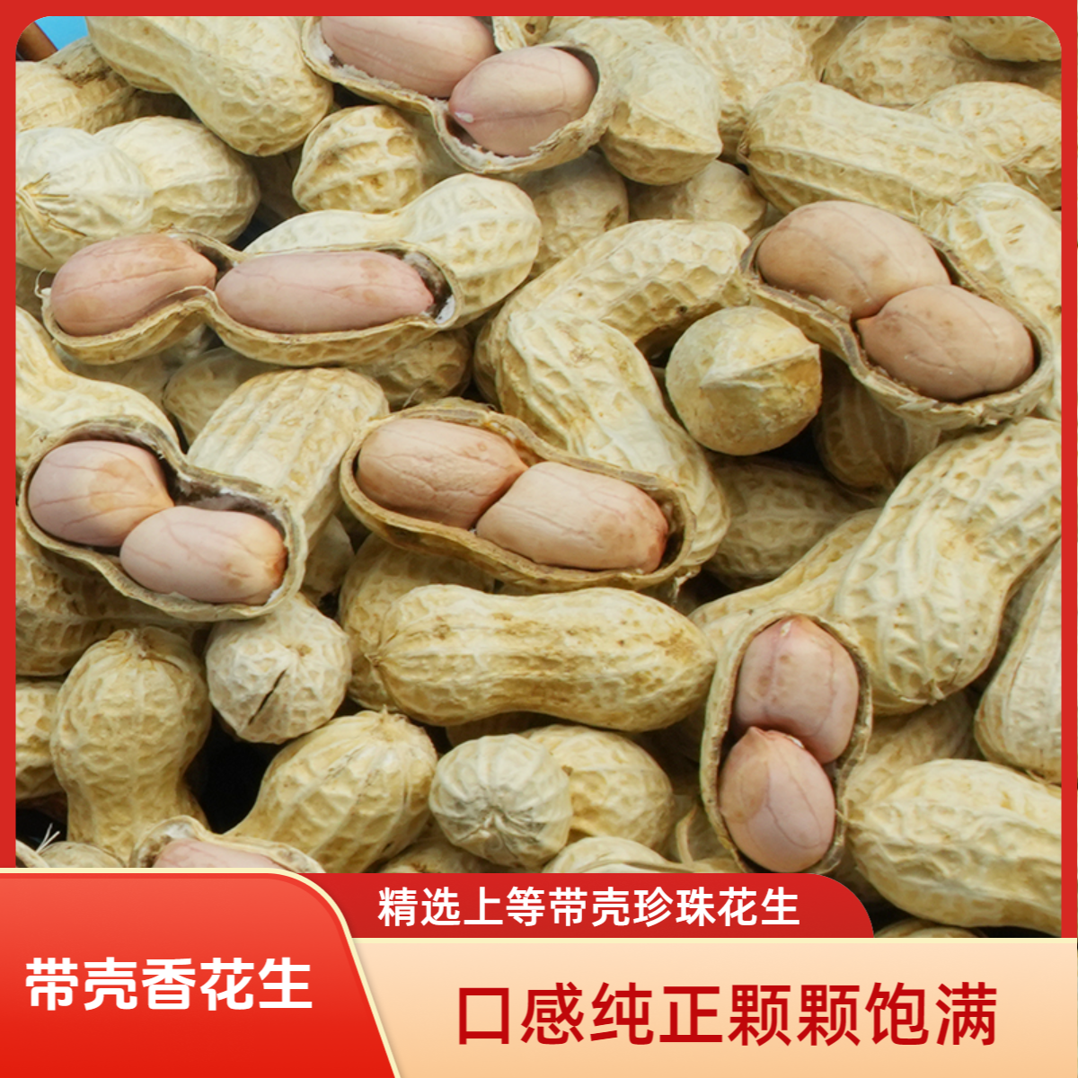 【带壳香花生】贵州铜仁珍珠花生香花生颗粒饱满本地小花生口感醇厚