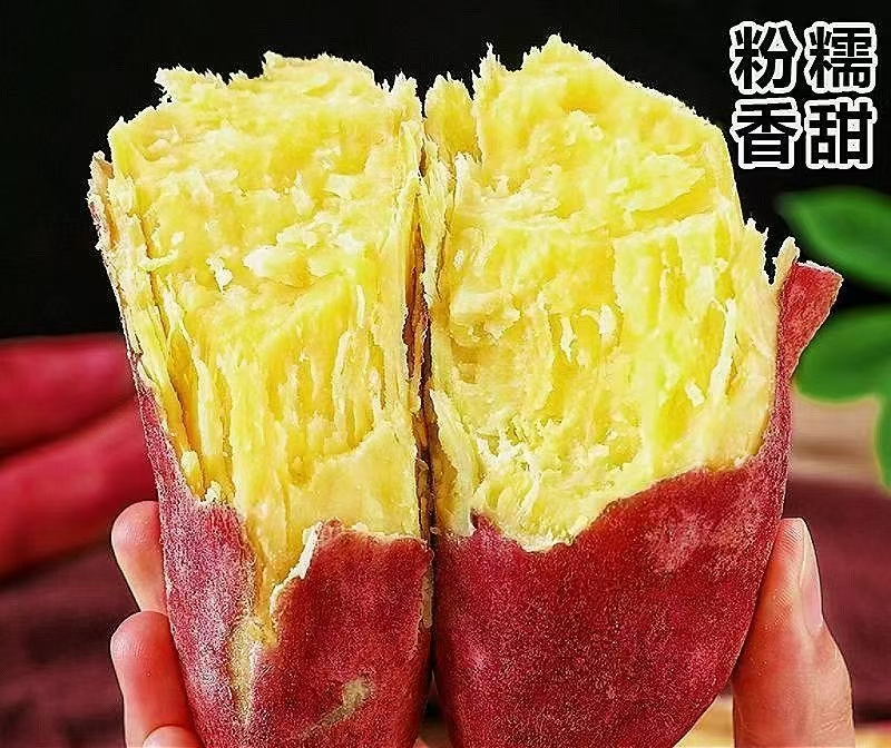 【买3斤送2斤】沙地新鲜现挖龙九板栗红薯香甜地瓜番薯带箱5斤