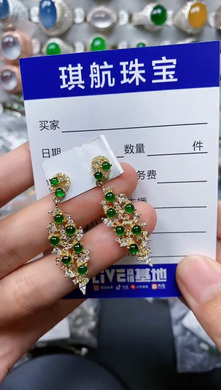 【闪购商品】翡翠颈饰银S925镶嵌0487