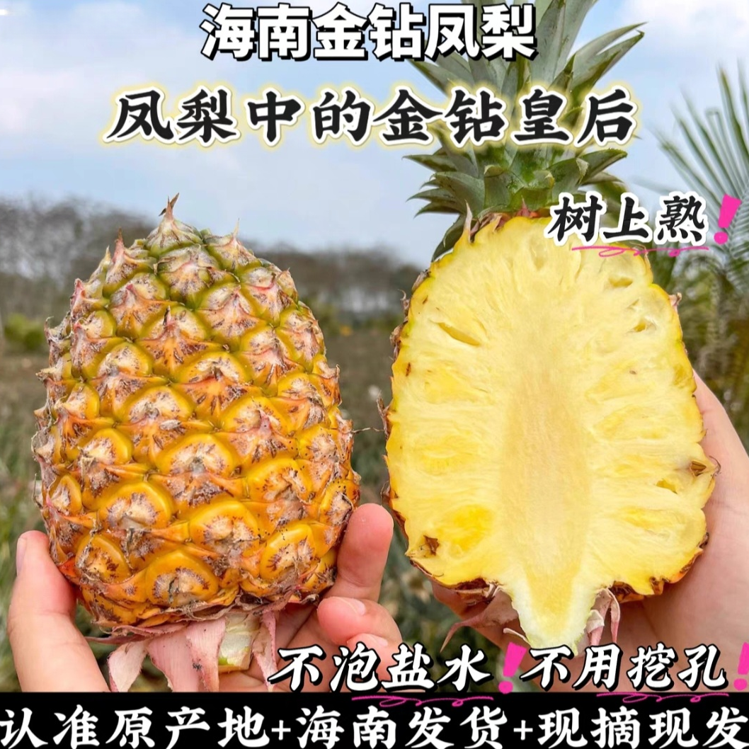 正宗海南自然树熟金钻凤梨无果眼不麻嘴爆甜多汁海南产地直发