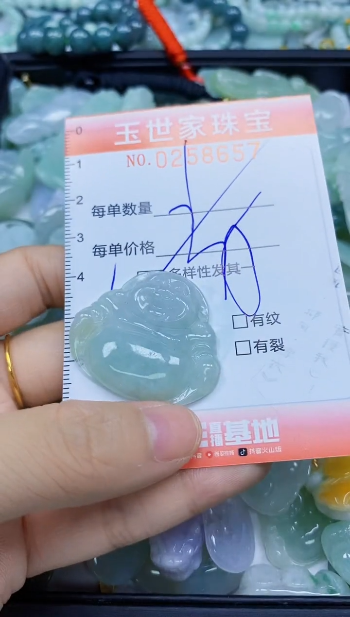 翡翠未镶嵌颈饰闪购0258657多样性发其一