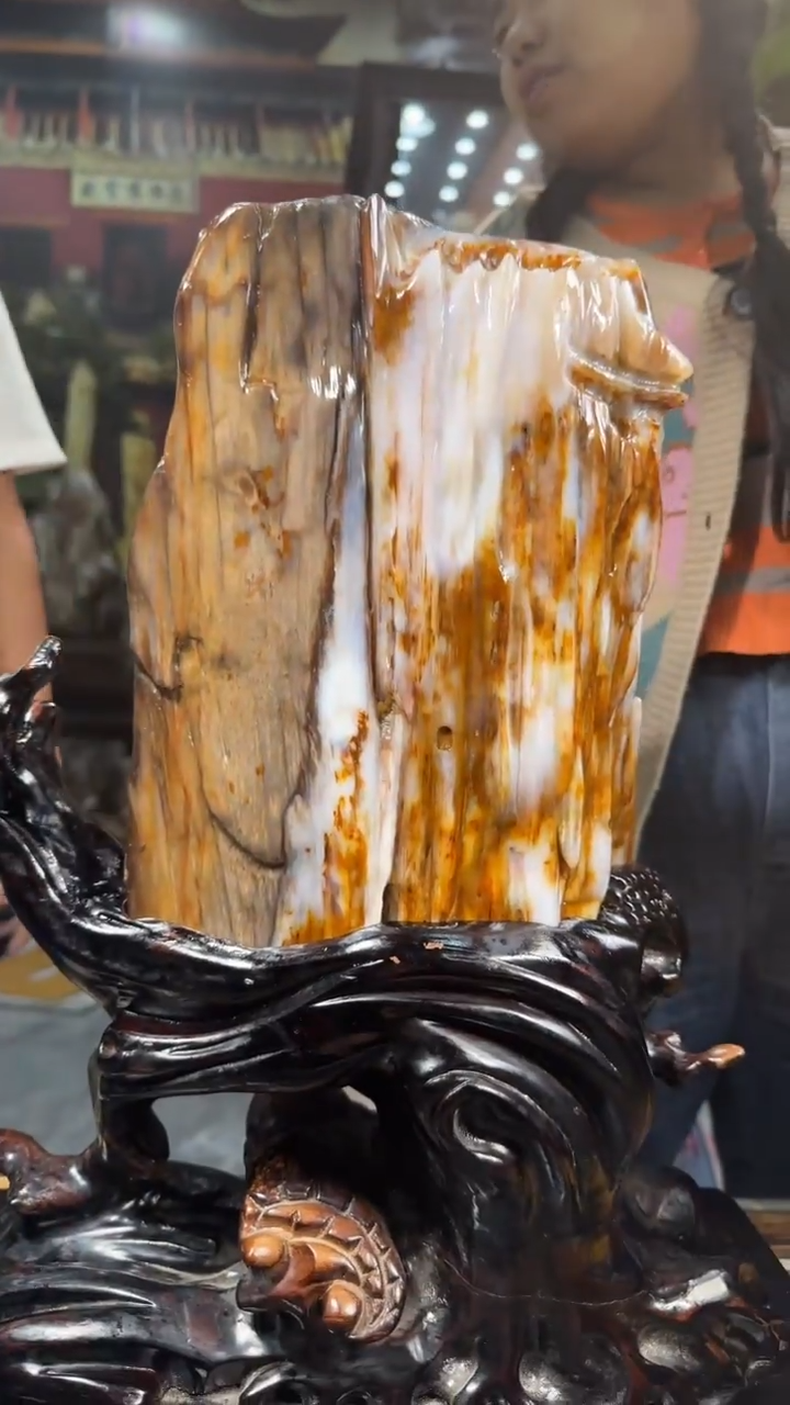 【闪购商品】硅化玉珠宝奇石未镶嵌拍一发一