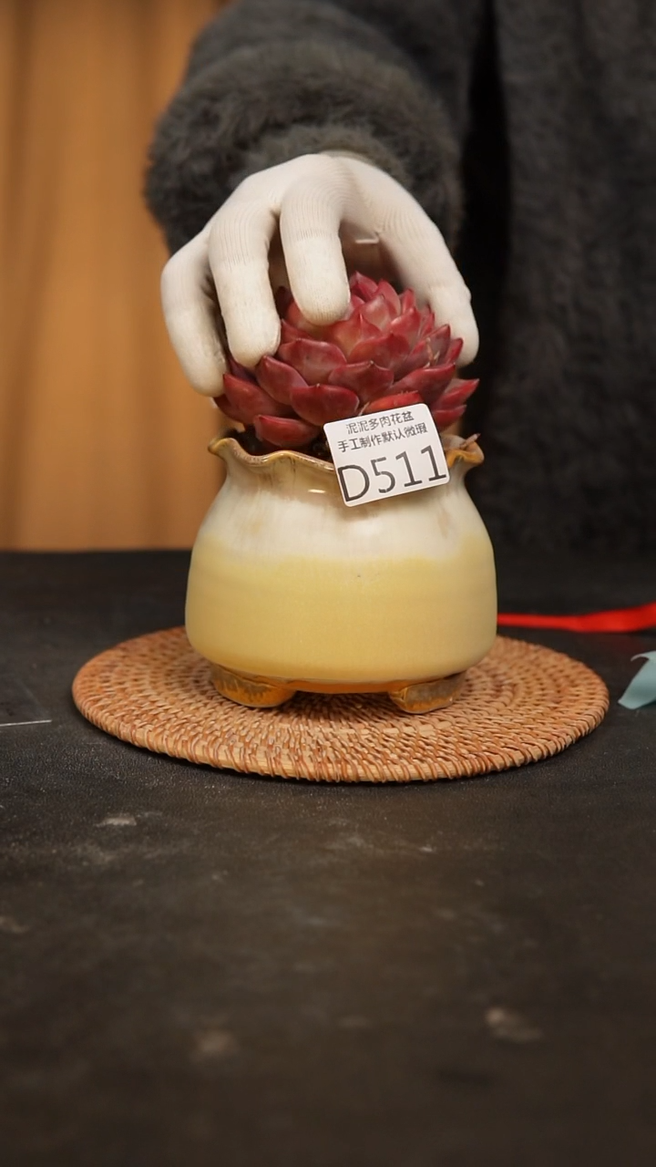 【闪购商品】瓷片景德镇泥泥陶瓷多肉花盆