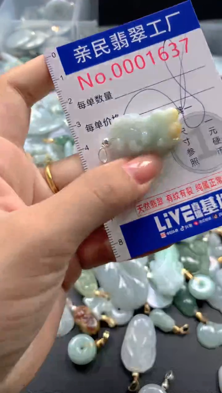 颈饰未镶嵌翡翠1637
