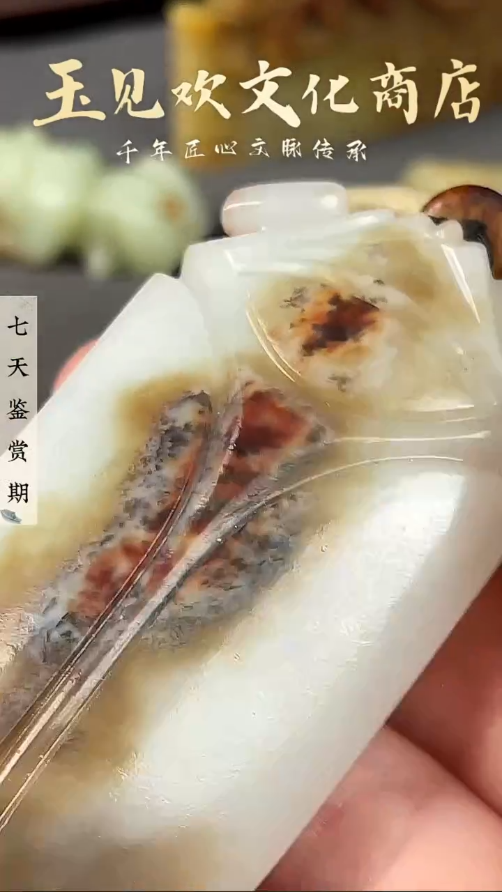 玉蝉    一鸣惊人
