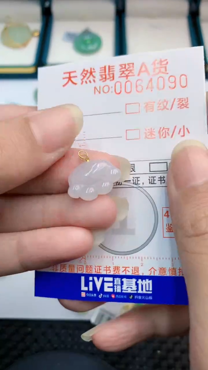 【闪购商品】翡翠颈饰18K金镶嵌            8