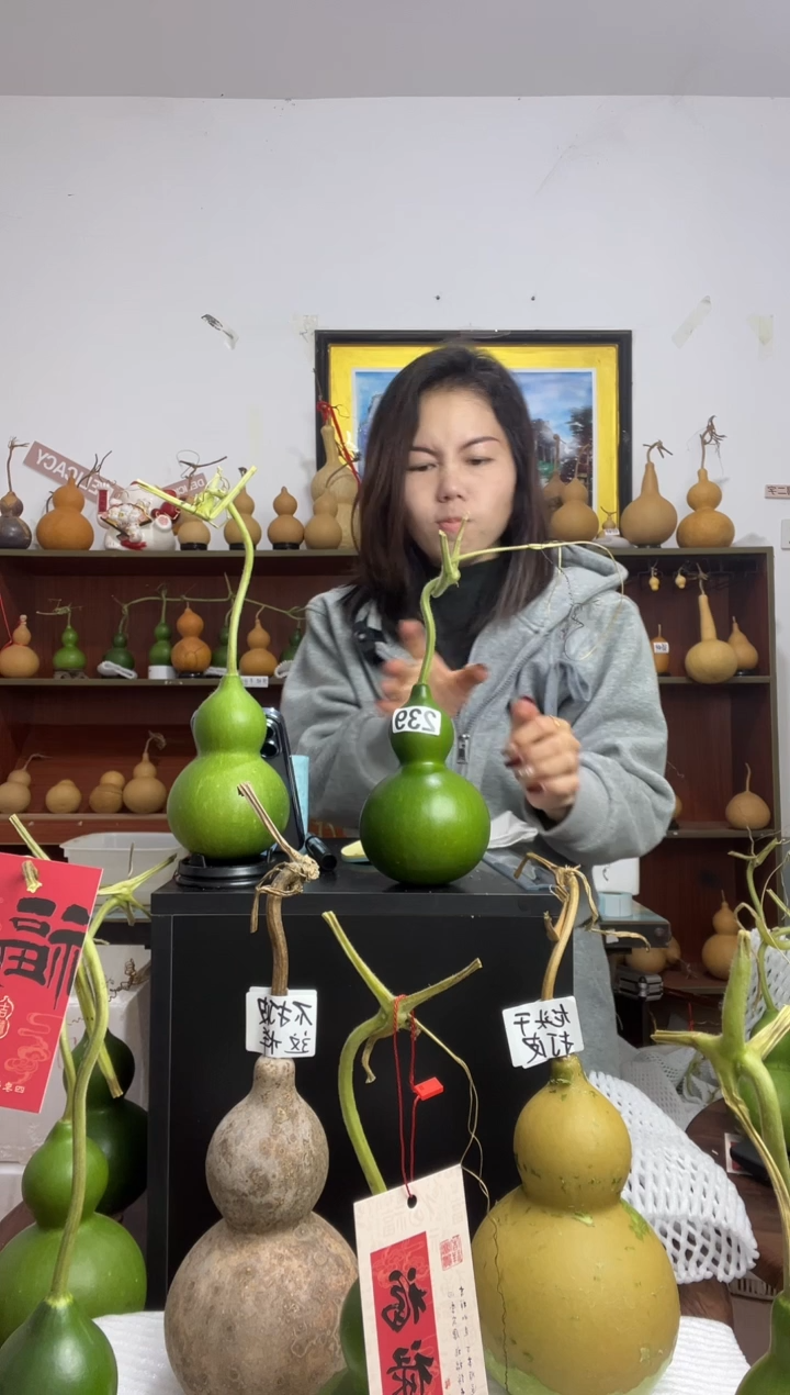 ?****?239天然葫芦摆件 一物一拍龙头不保售后
