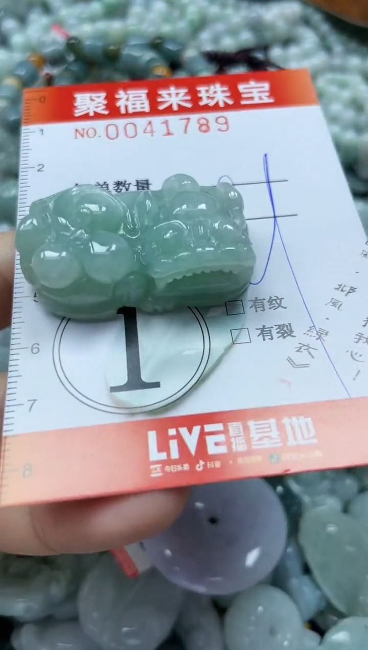 【闪购商品】翡翠颈饰未镶嵌闪购0041789