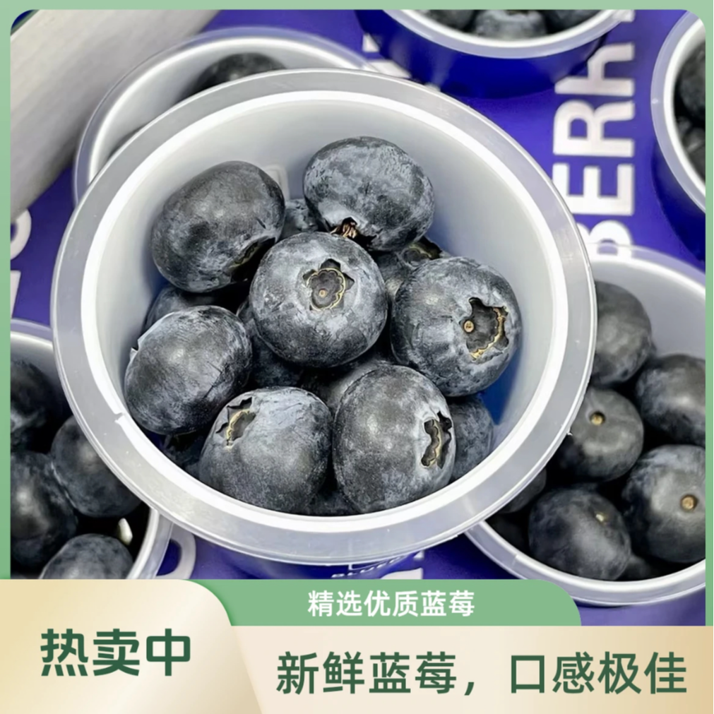【明日达】云南宝宝杯花香蓝莓新鲜水果15mm 4杯礼盒装新鲜到家240g起