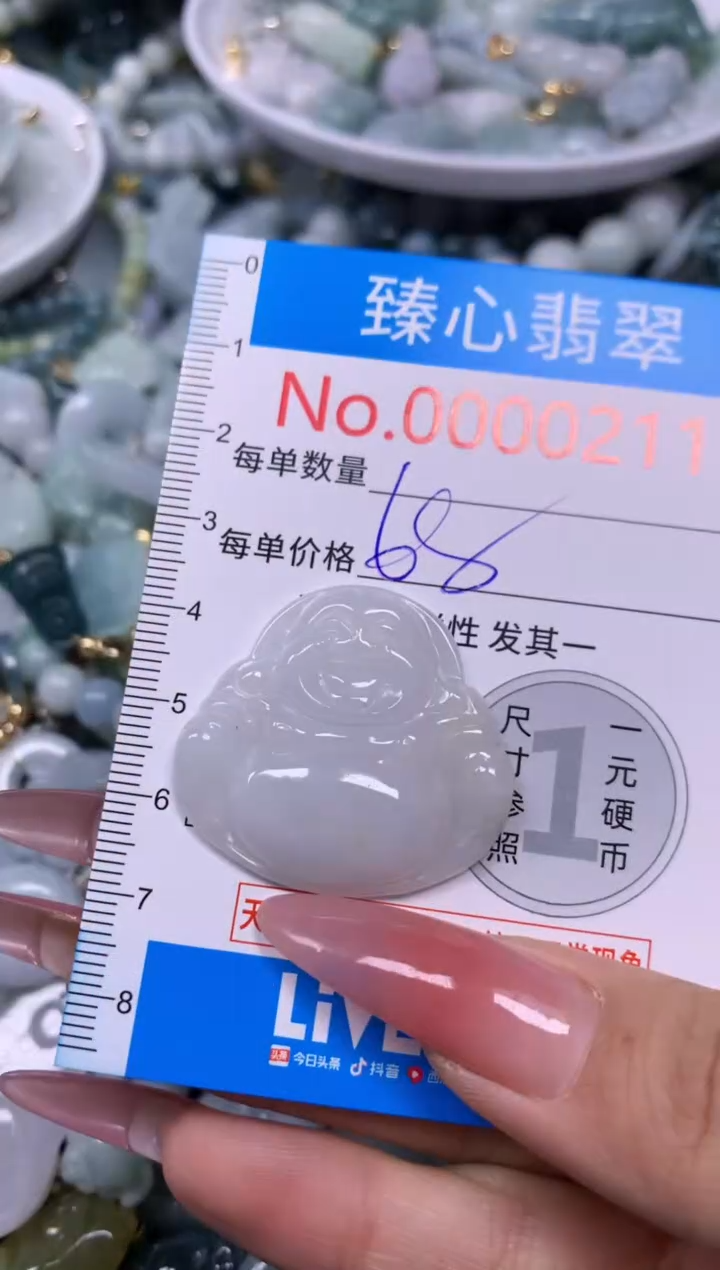 【闪购商品】翡翠颈饰未镶嵌含绳000211