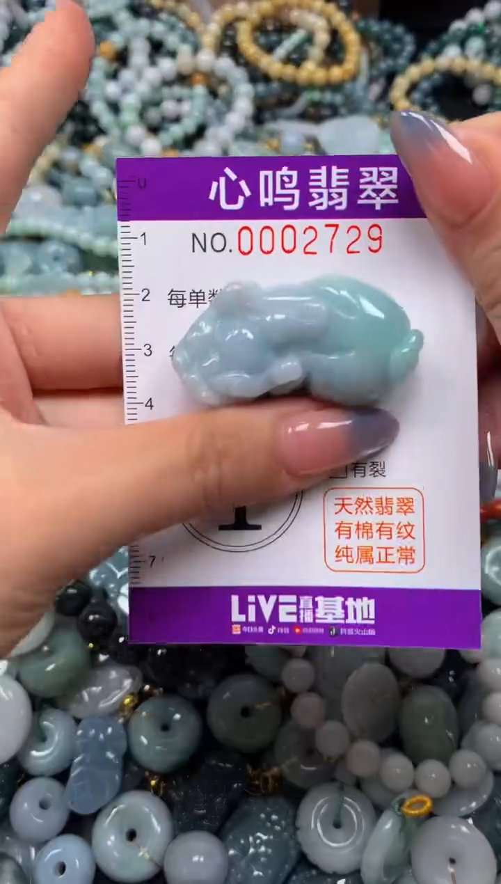 颈饰未镶嵌翡翠闪购002729