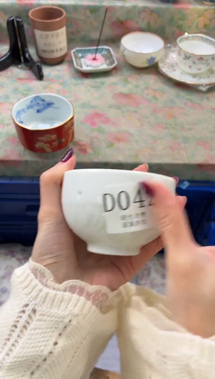 瓷片杨*菜       D042