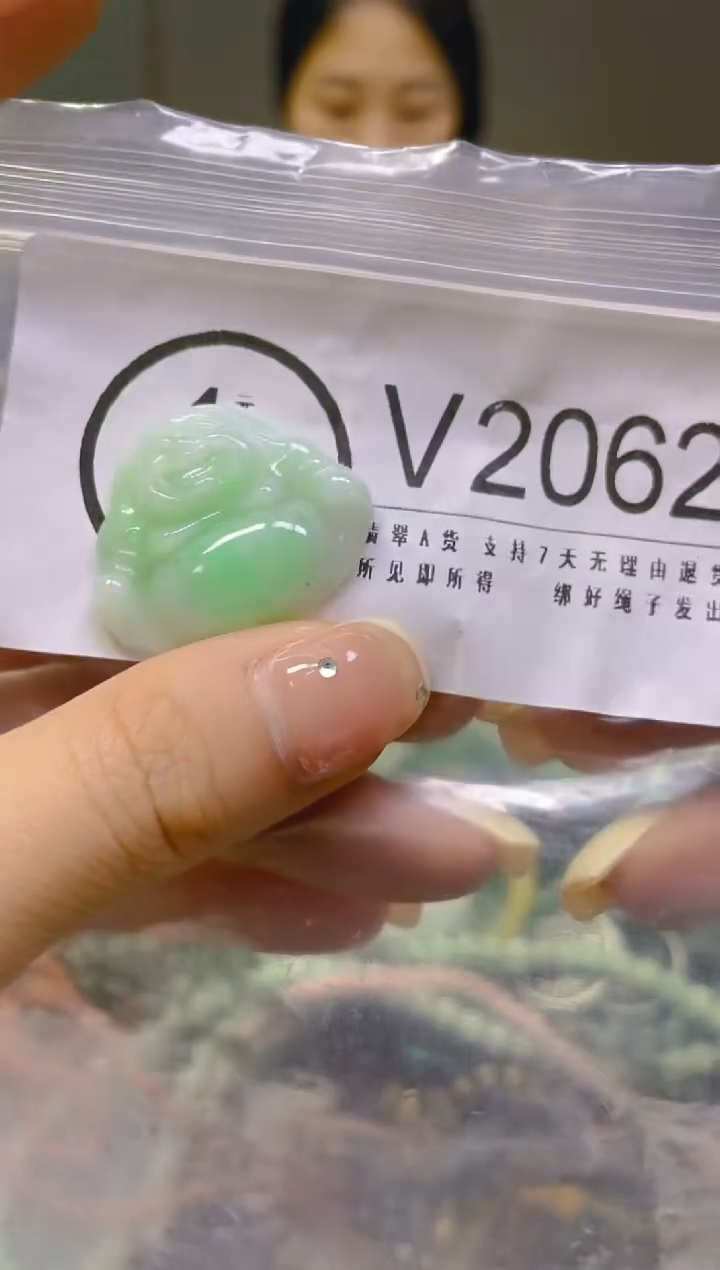 翡翠未镶嵌颈饰/V/翡翠A货一图一物