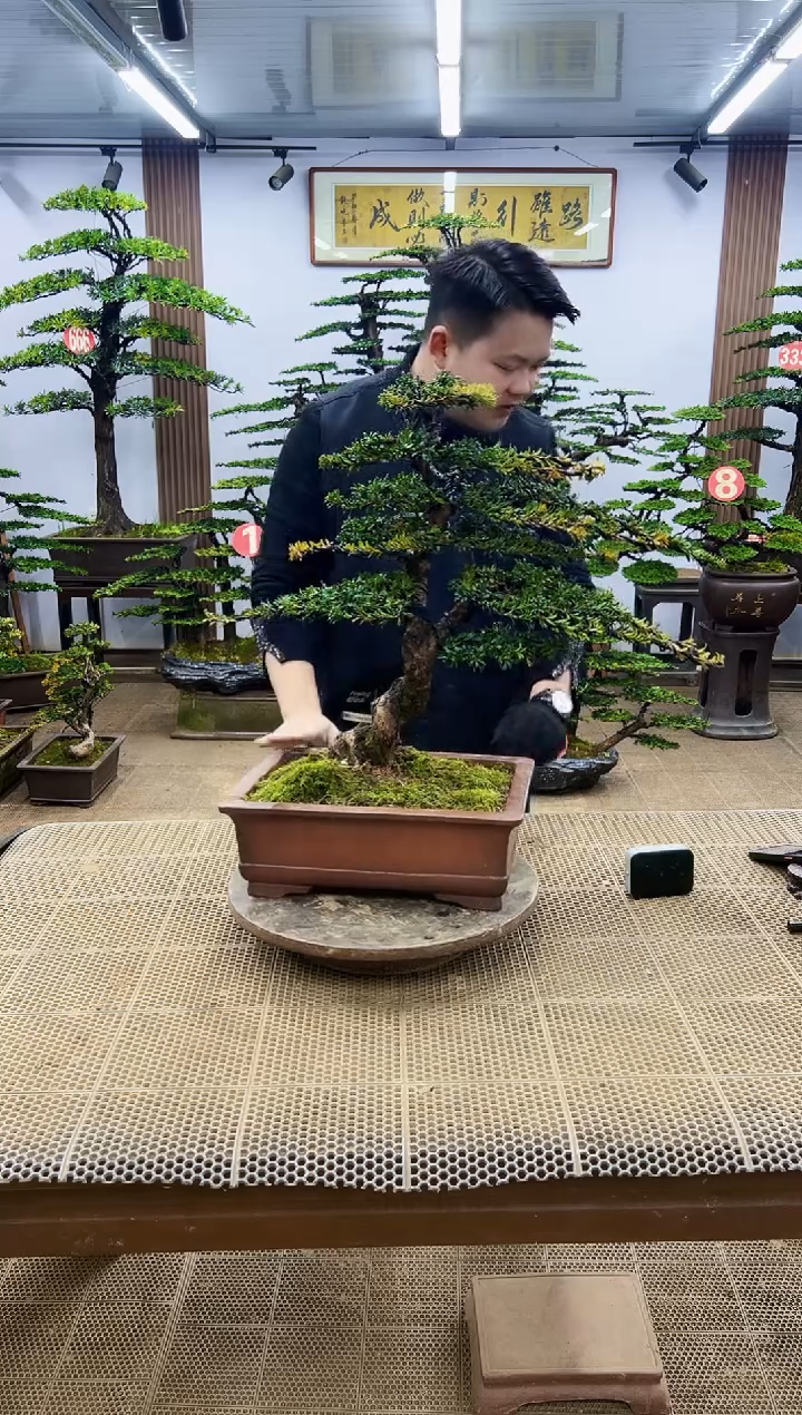 【闪购商品】0000000