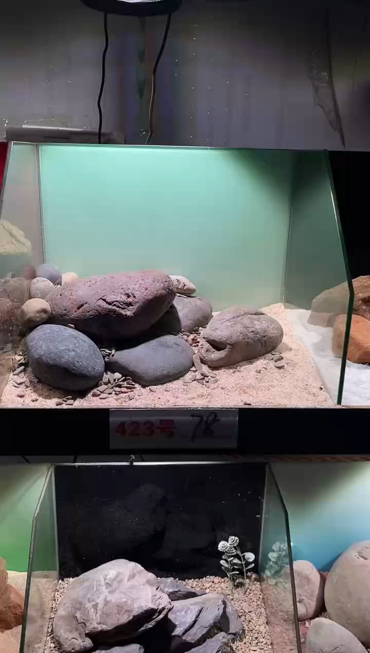 423号鱼缸造景（不含底砂）
