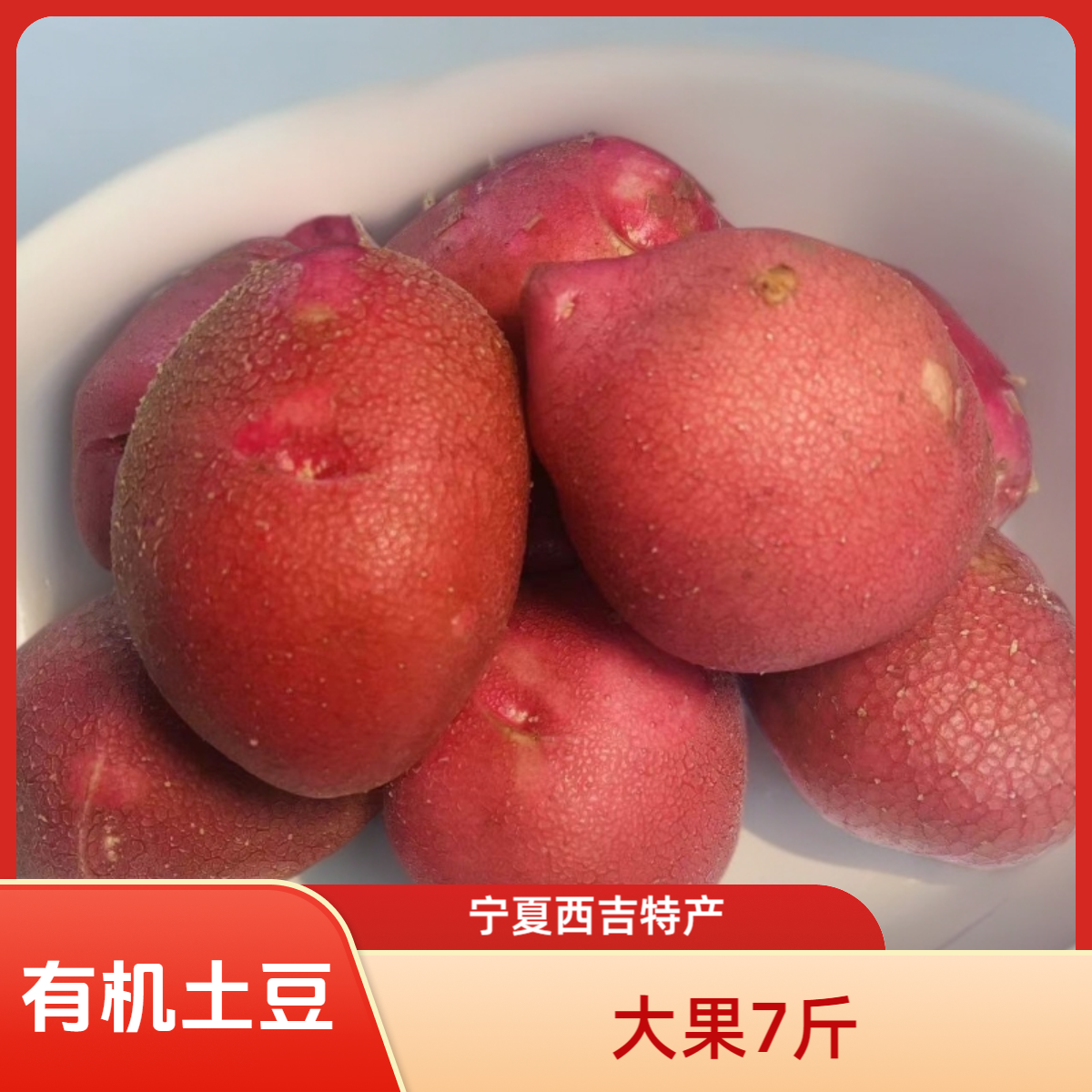 宁夏西吉红皮有机土豆特大果7斤装(李琬有机菜)