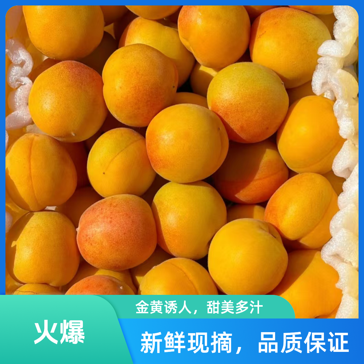 【明日到】头茬新疆吊干杏软糯甘甜3.5-7斤新鲜水果现货直发新疆维吾尔自治区