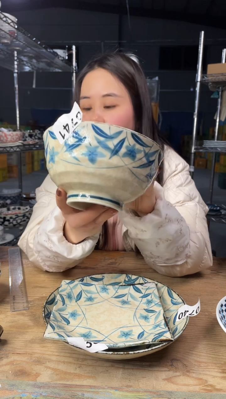 【闪购商品】瓷片741号       17*8.5  