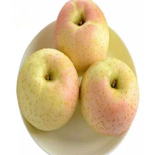 【精品】王林苹果约500g-600g/2个