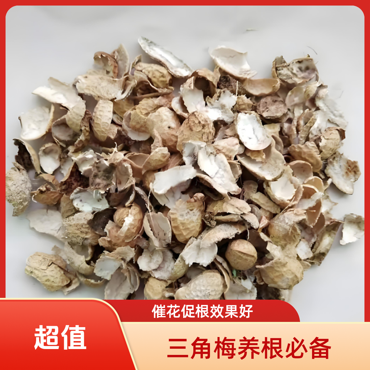 【花生壳】气人大叔推荐三角梅配土材料