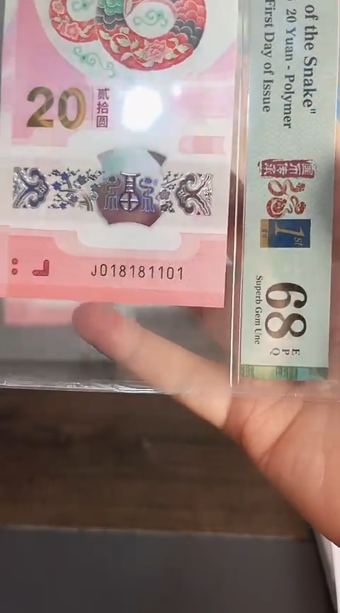【闪购商品】塑料蛇钞单张018181101PMG68分