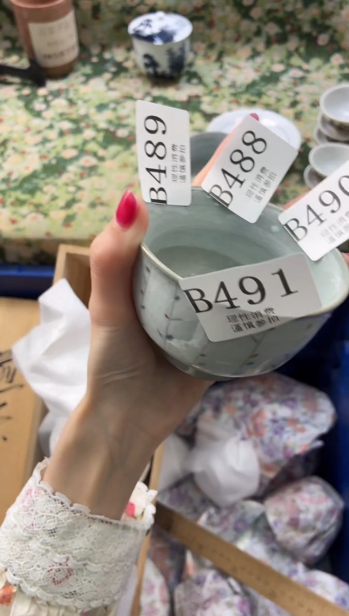 瓷片I**s       B489