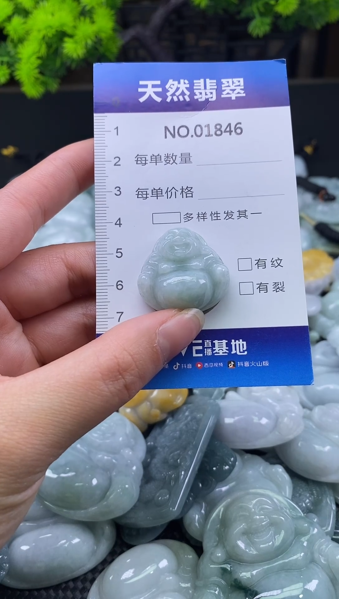 颈饰未镶嵌翡翠天然缅甸翡翠1846