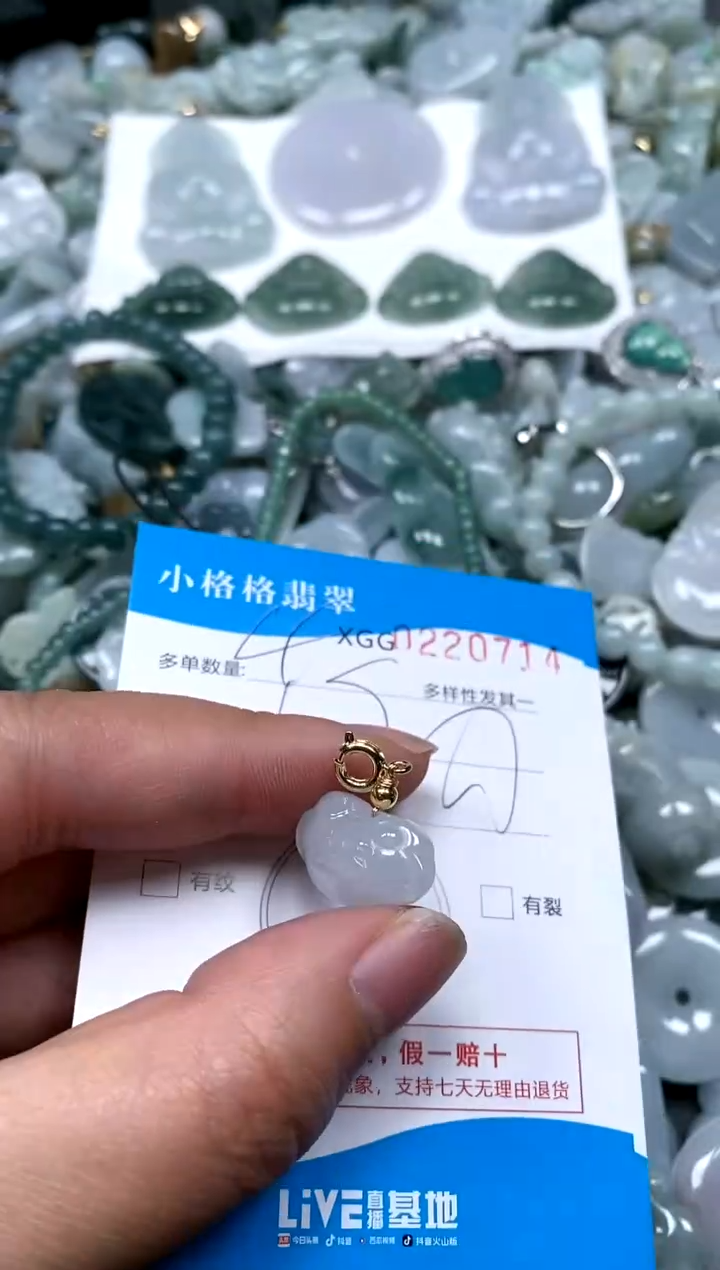 【闪购商品】翡翠颈饰未镶嵌闪购商品0220714多样性