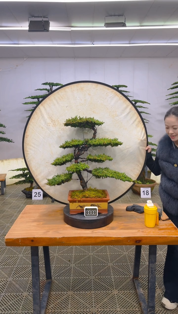 无花朵一物一拍一物一拍