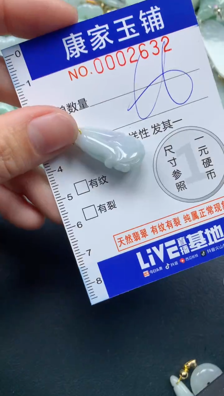 颈饰未镶嵌翡翠2632