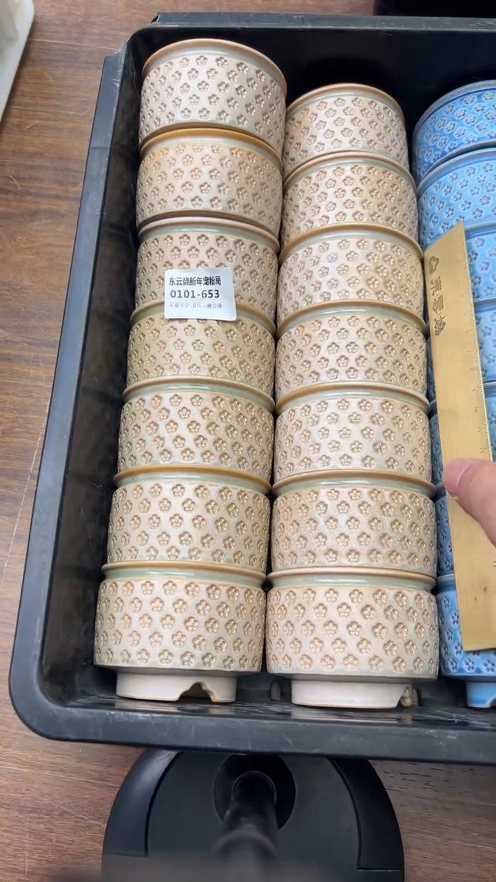 0101-653 内口6  点赞福利 随机一只