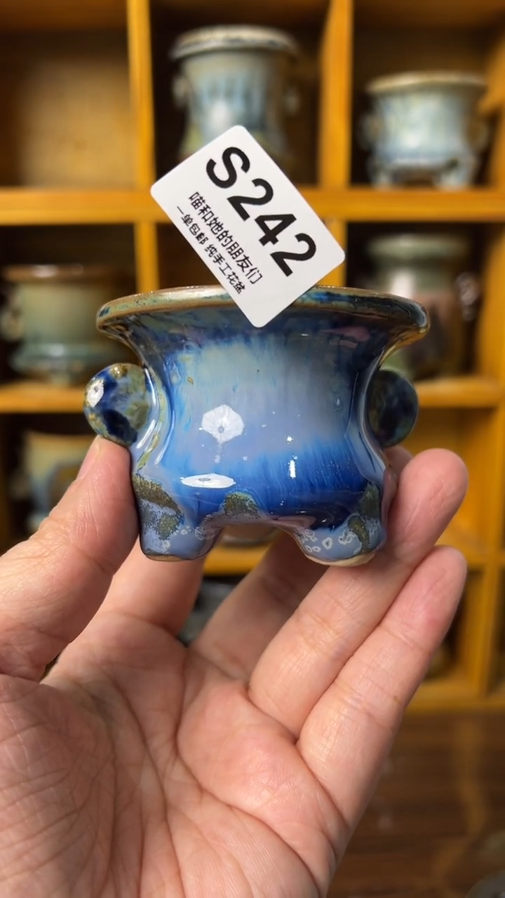 242 内口5.5【多肉花盆多肉盆】