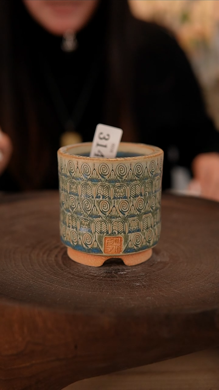 【闪购商品】陶瓷2-16-314默认有瑕口6