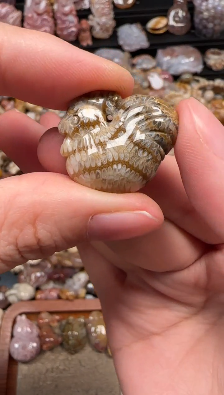 颈饰未镶嵌硅化珊瑚（珊瑚玉）914