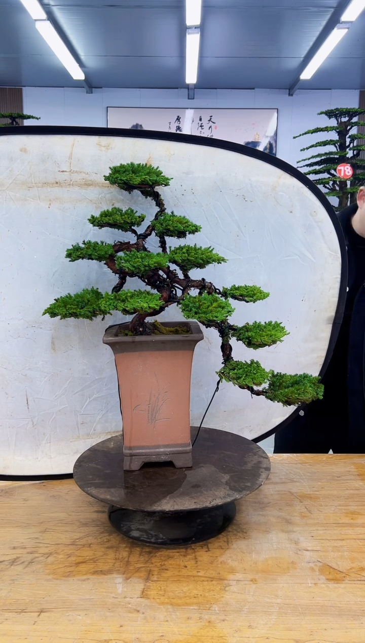 以实际为准N****g00000000000000