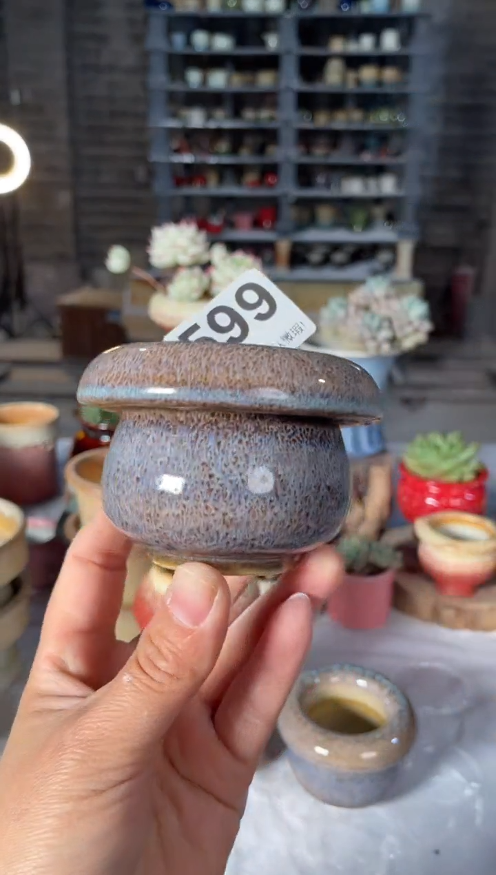 瓷片599小芳直播编号