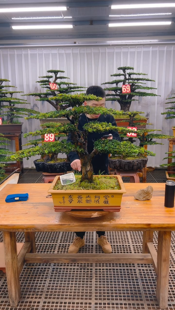 【闪购商品】紫砂精品盆景直播间一物一拍