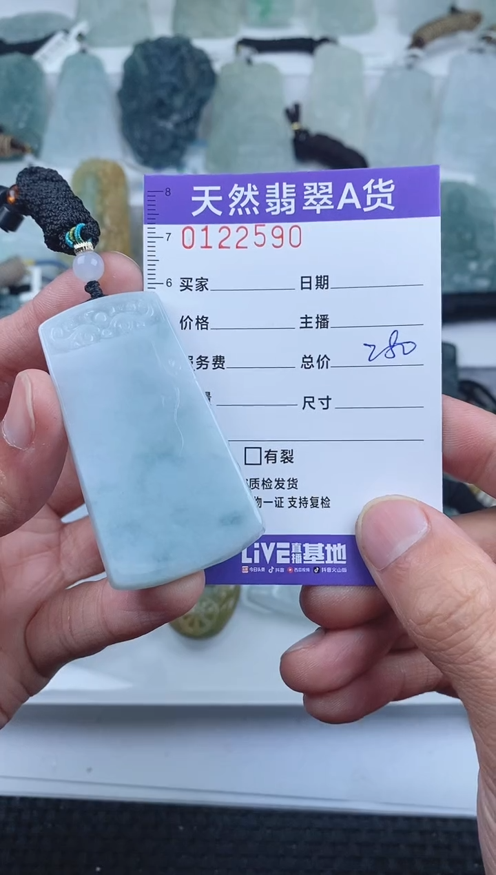 【闪购商品】翡翠颈饰未镶嵌        590