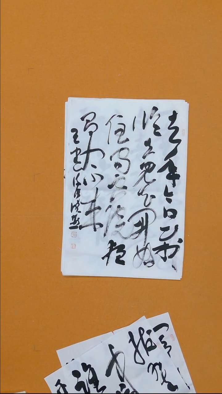 书法张晓燕45*68 甘肃理S