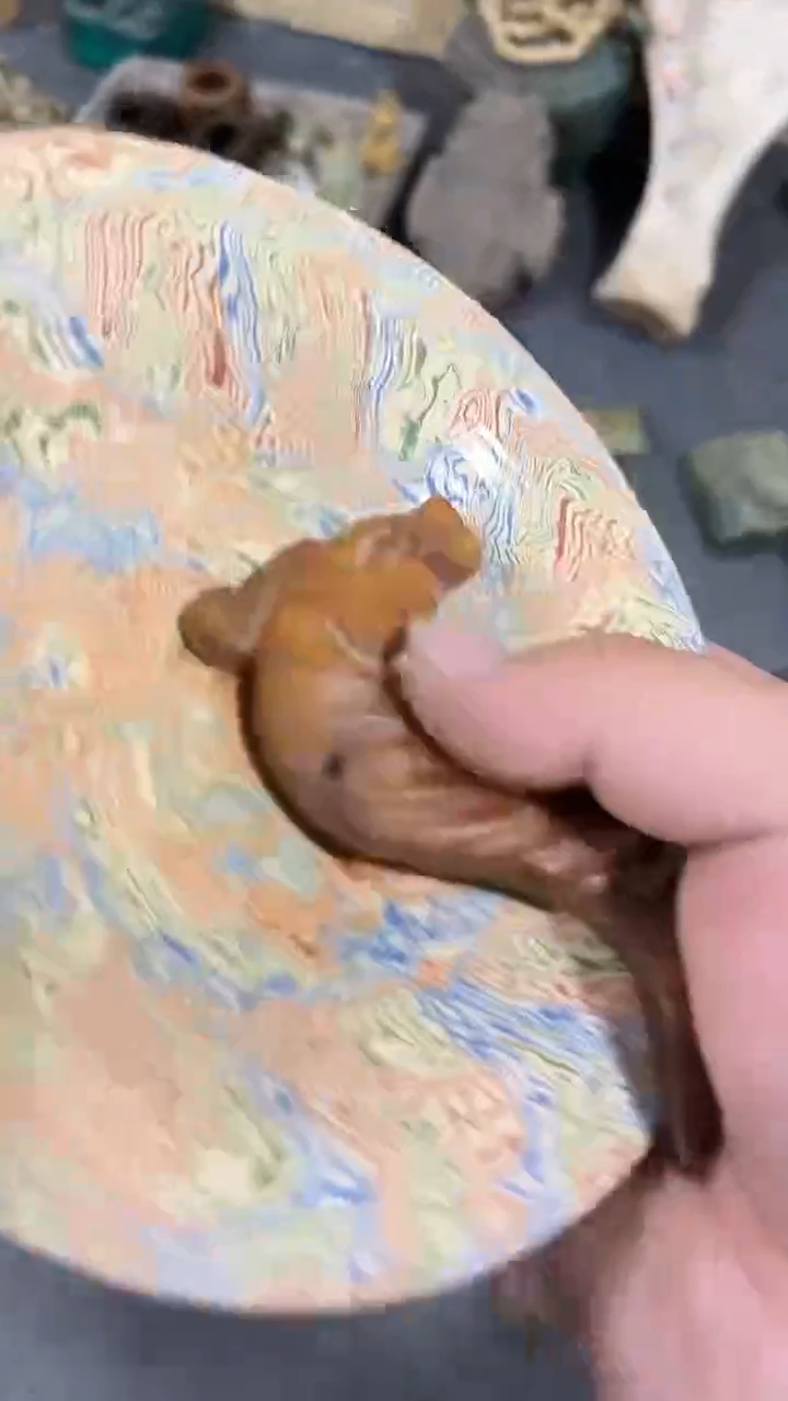 【闪购商品】瓷器瓷器瓷器瓷器瓷器瓷器瓷器瓷器瓷器瓷器