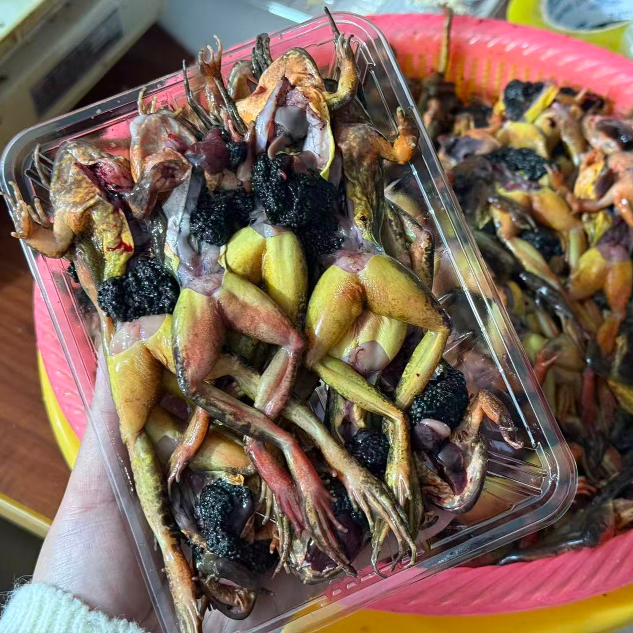 【去油爆籽】母豹子酱土豆东北河鲜去油母蛤蟆冷冻发货送大酱