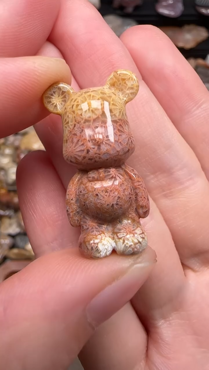 硅化珊瑚（珊瑚玉）未镶嵌颈饰668
